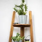 Apartament Cozy In A Quiet Area Cluj-Napoca