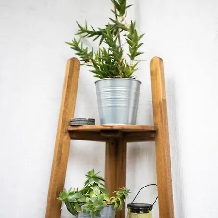 Daire Cozy In A Quiet Area Kaloşvar