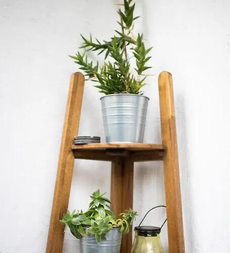 公寓 Cozy In A Quiet Area 克卢日-纳波卡